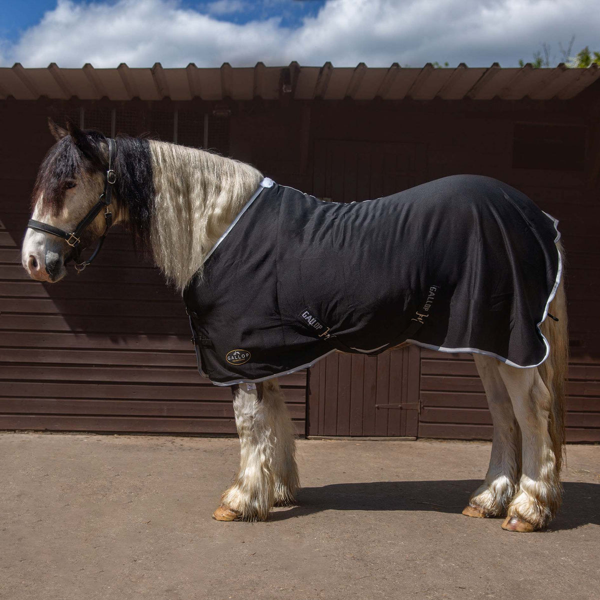 TROJAN Jersey Cooler Rug - Black