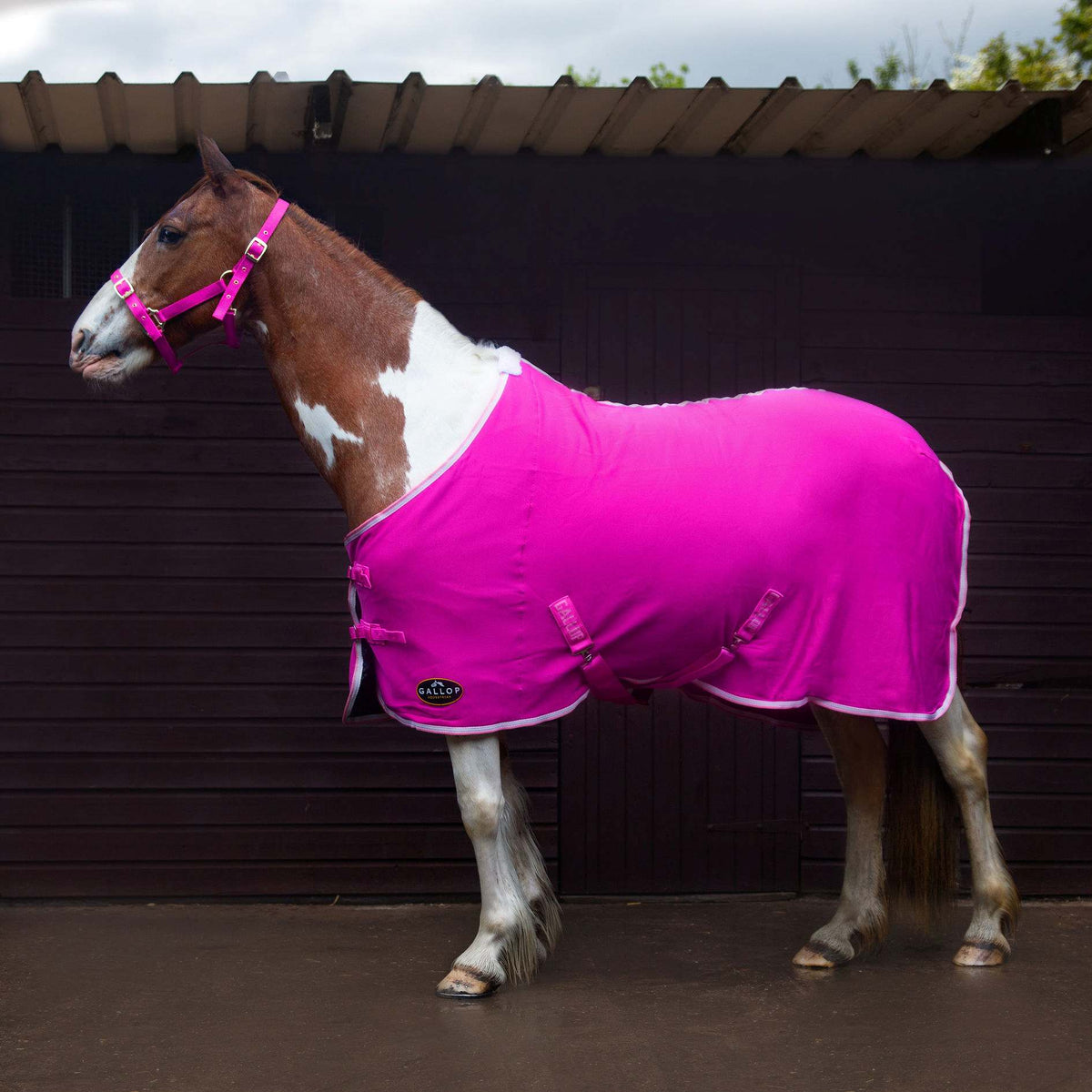 TROJAN Jersey Cooler Rug - Pink
