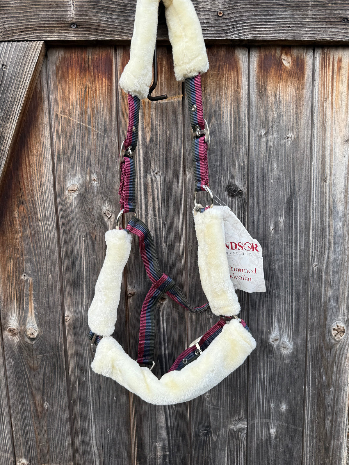 Padded adjustable webbed headcollar made by Windsor