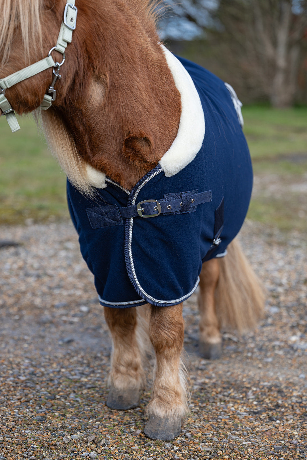 Rhinegold Mini Show Fleece