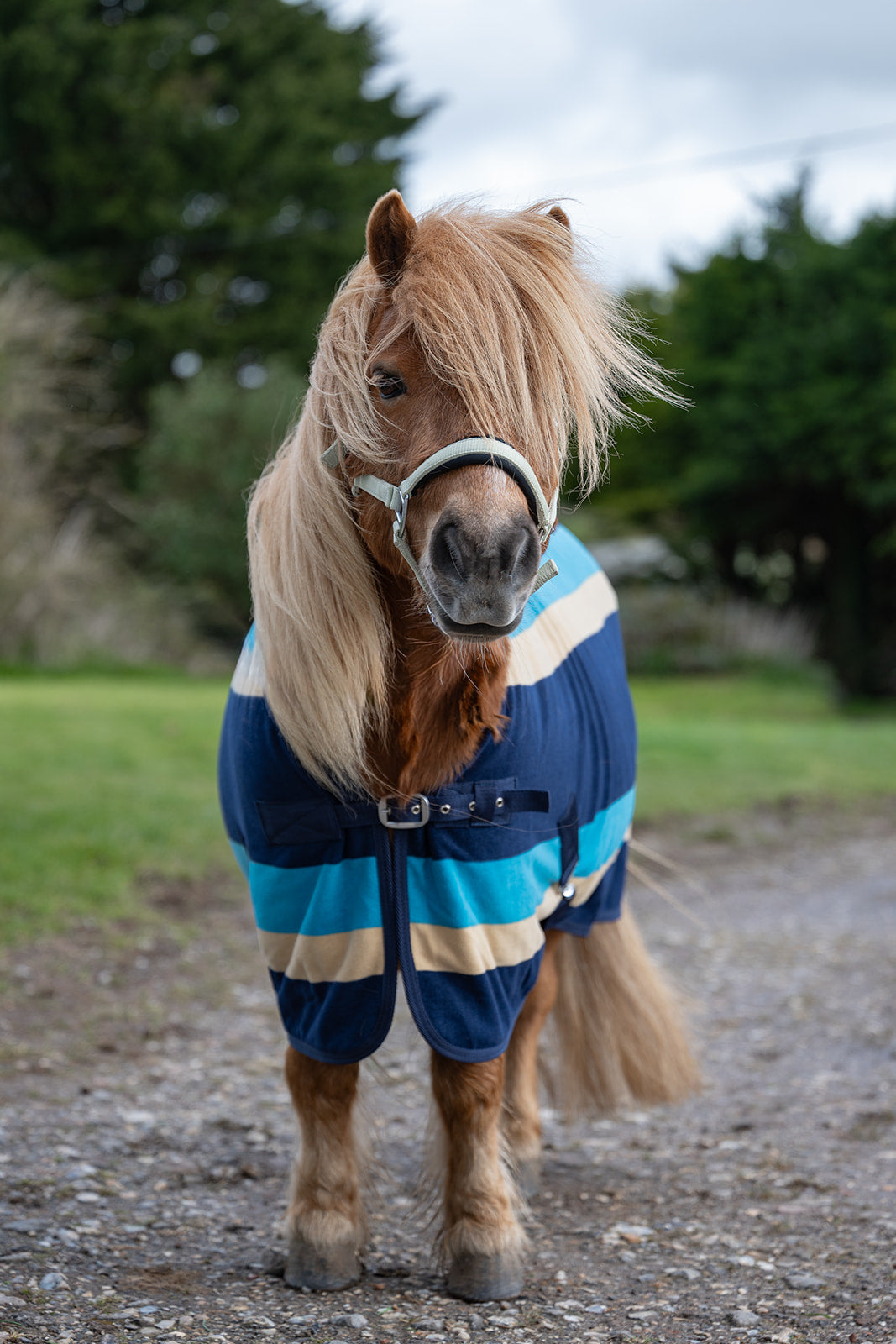 Rhinegold Mini Striped Fleece Rug