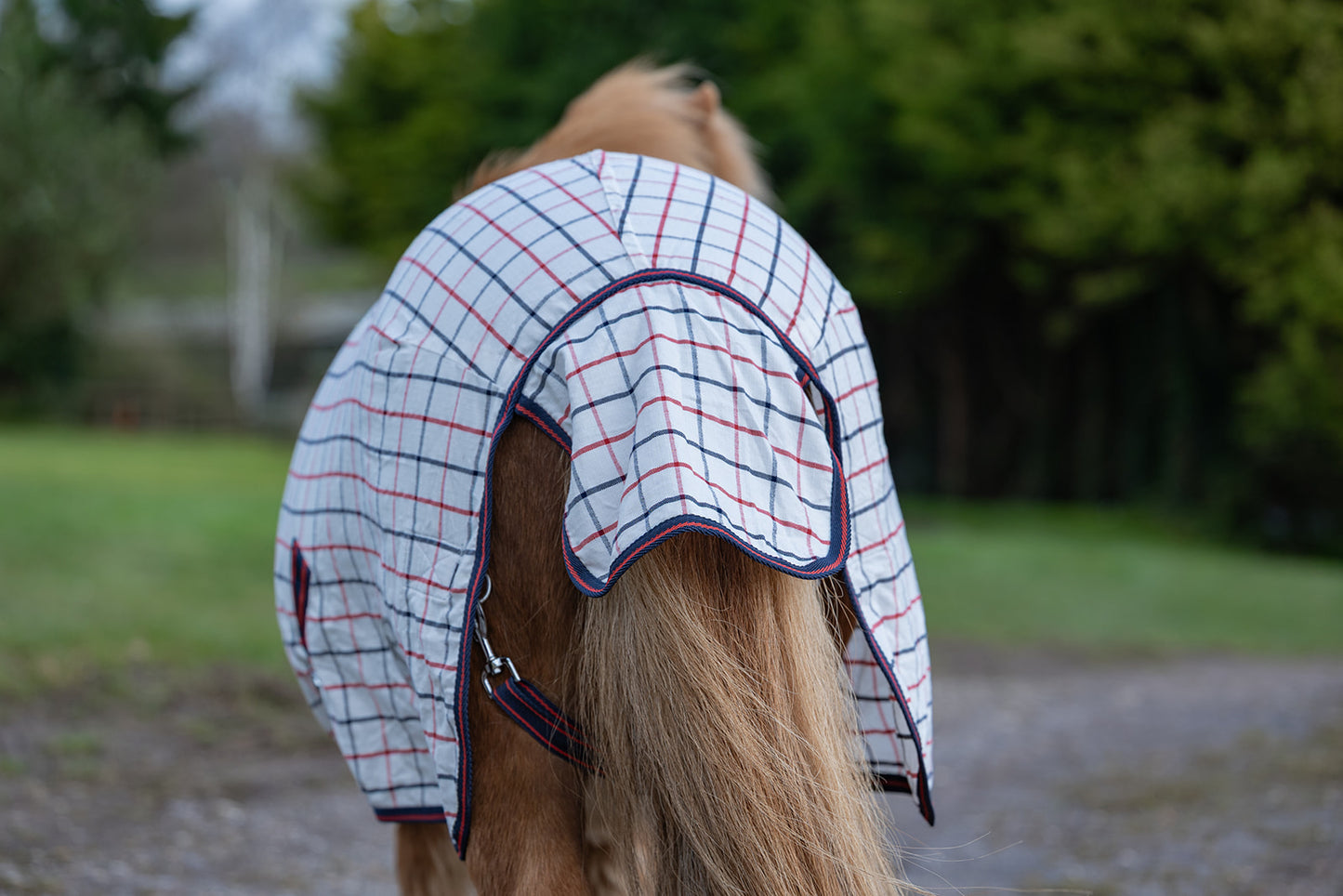 Rhinegold Mini Maui Summer Sheet
