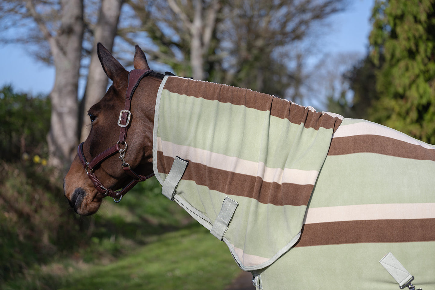 Rhinegold Pistachio Striped Fleece Rugs