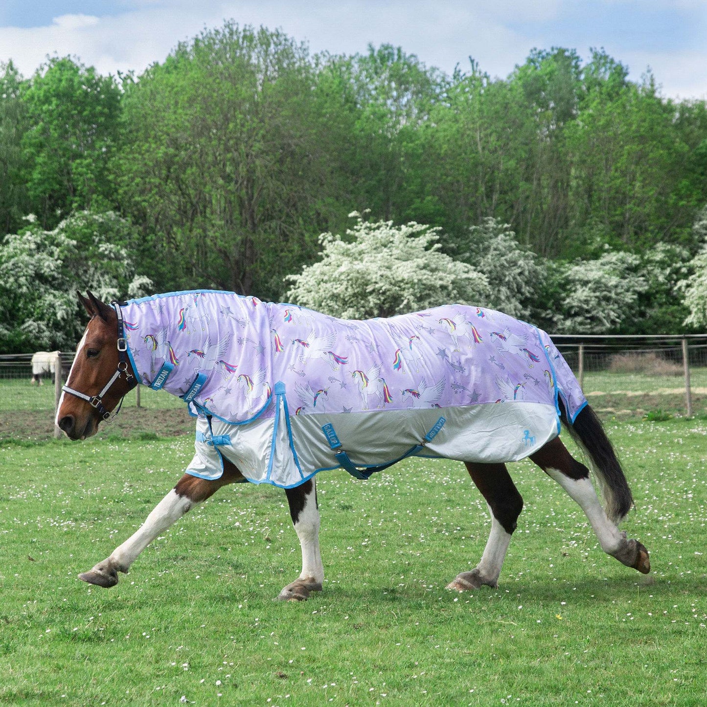 TROJAN 'Pegacorn' Combo Fly Rug