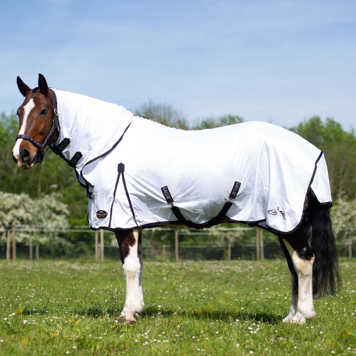 GALLOP Classic Combo Fly Rug