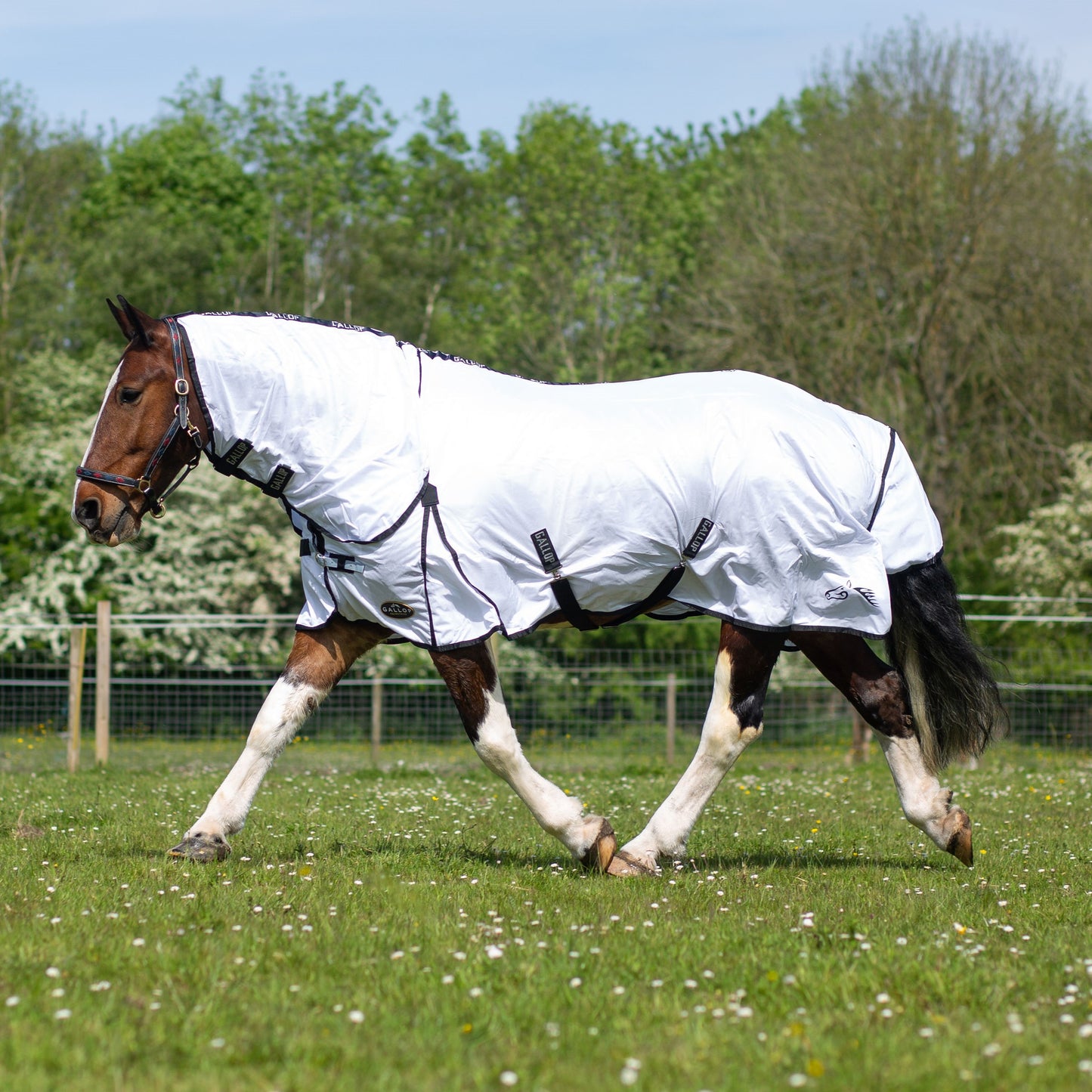 GALLOP Classic Combo Fly Rug