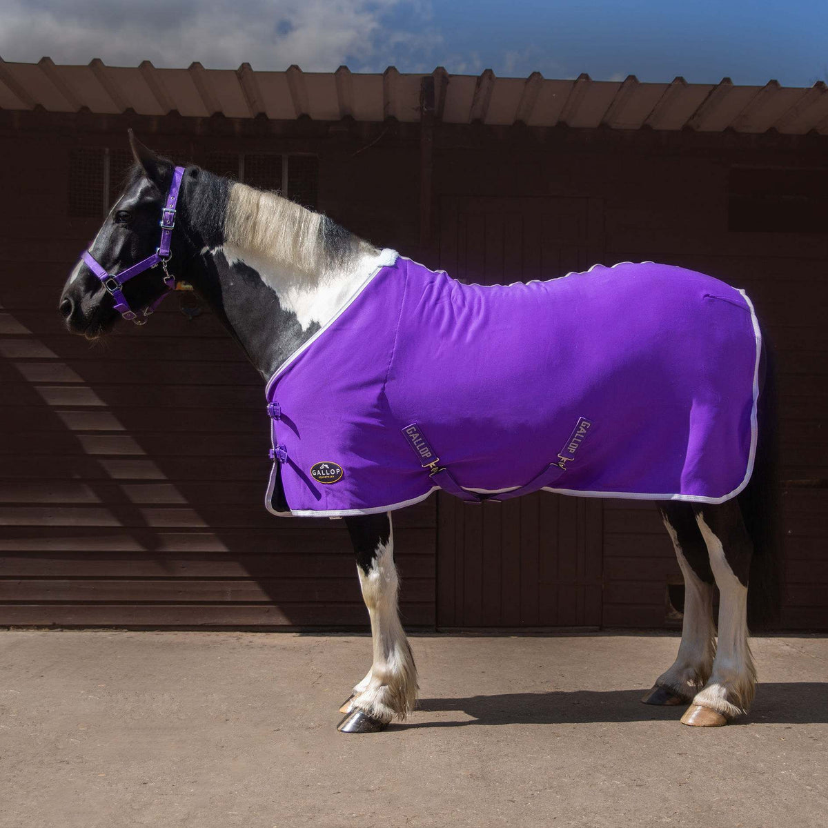 TROJAN Jersey Cooler Rug - Purple