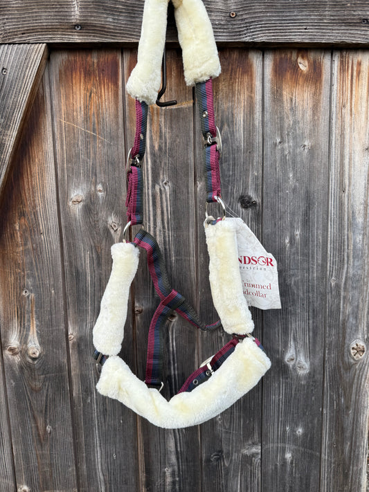 Padded adjustable webbed headcollar made by Windsor