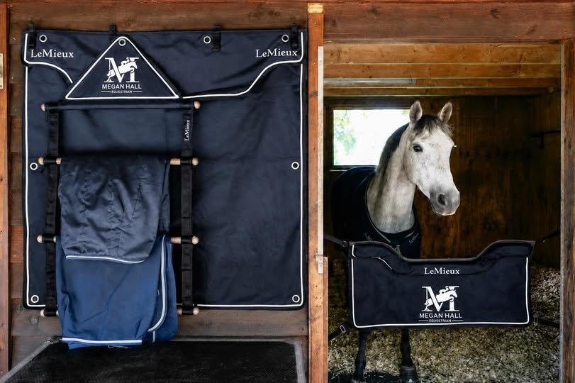 Luxury Stable Set