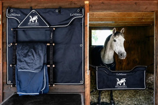 Luxury Stable Set