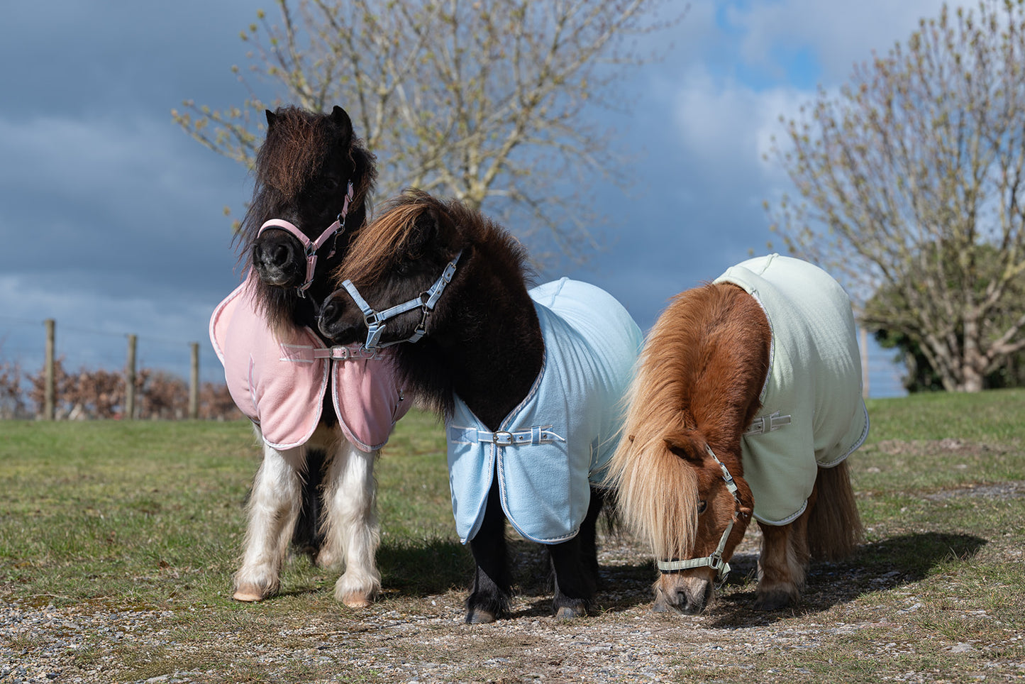 Rhinegold Mini Sorbet Fleece Rugs