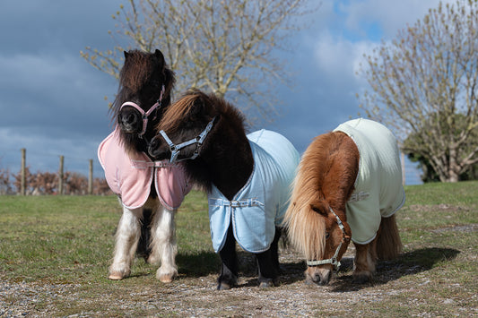Rhinegold Mini Sorbet Fleece Rugs