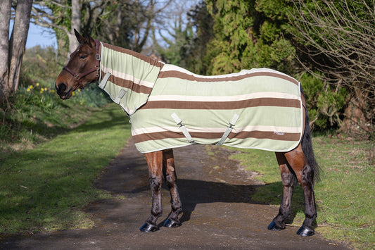 Rhinegold Pistachio Striped Fleece Rugs