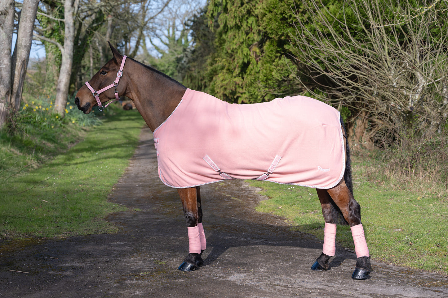 Rhinegold Sorbet Fleece Rugs
