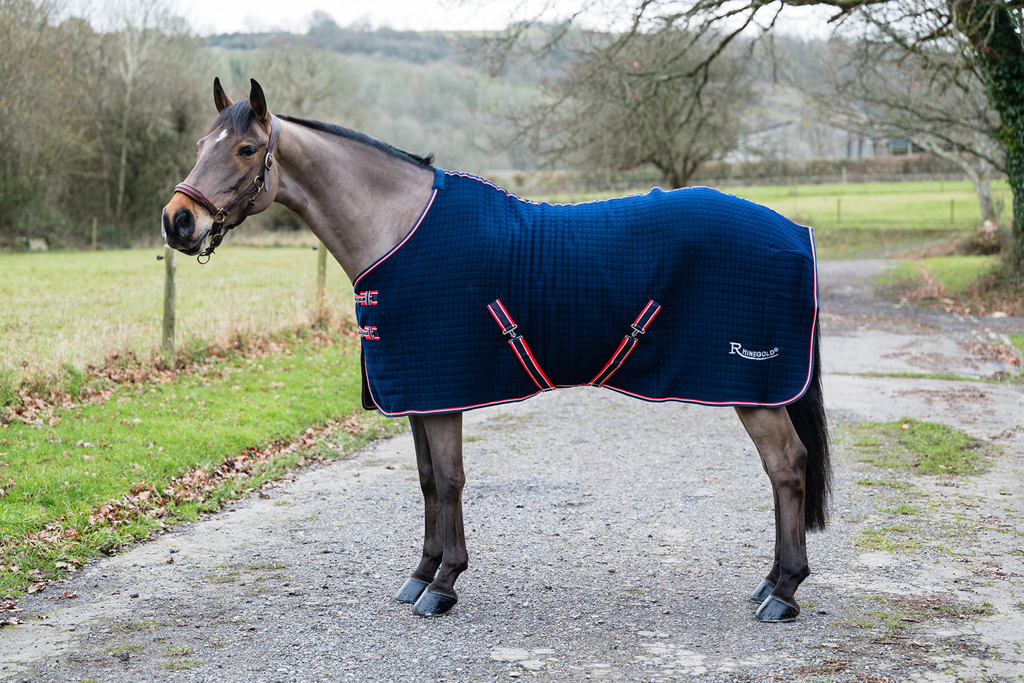 Rhinegold Premium Tech ‘Celltex’ Cooler Rug