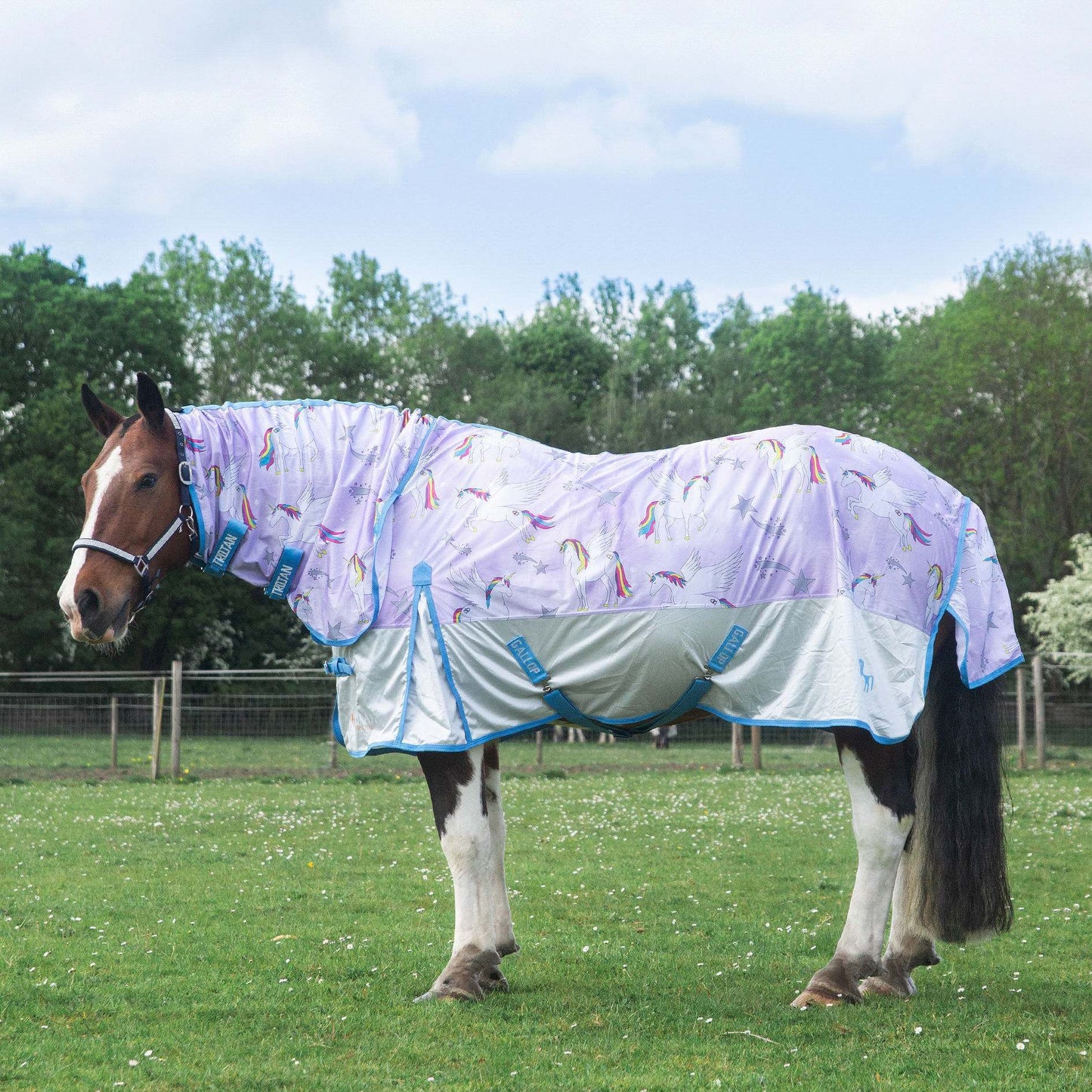 TROJAN 'Pegacorn' Combo Fly Rug