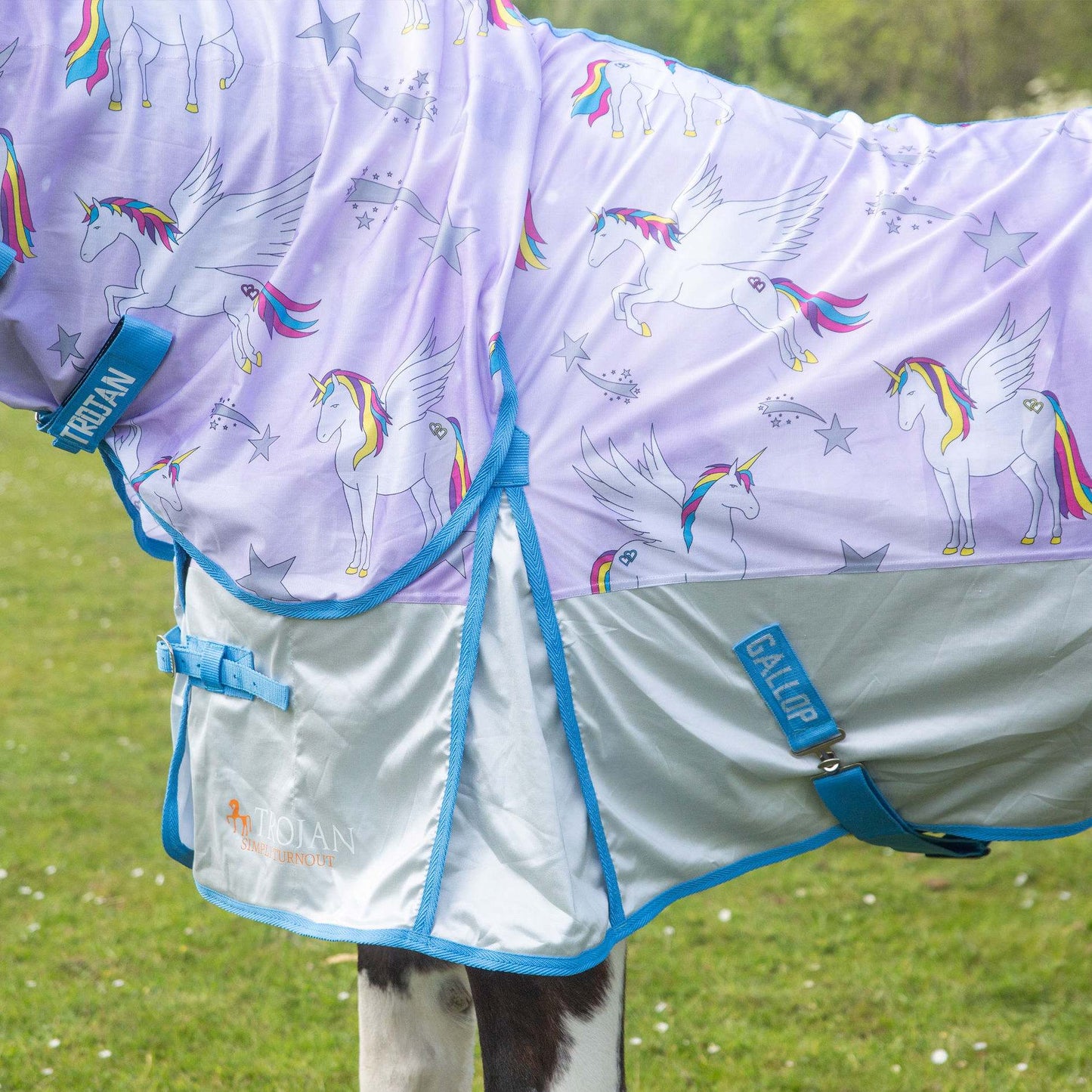 TROJAN 'Pegacorn' Combo Fly Rug